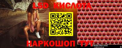 ПСИЛОЦИБИНОВЫЕ ГРИБЫ Кулебаки